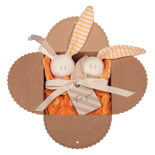 Spare buddy package toddel manderin orange